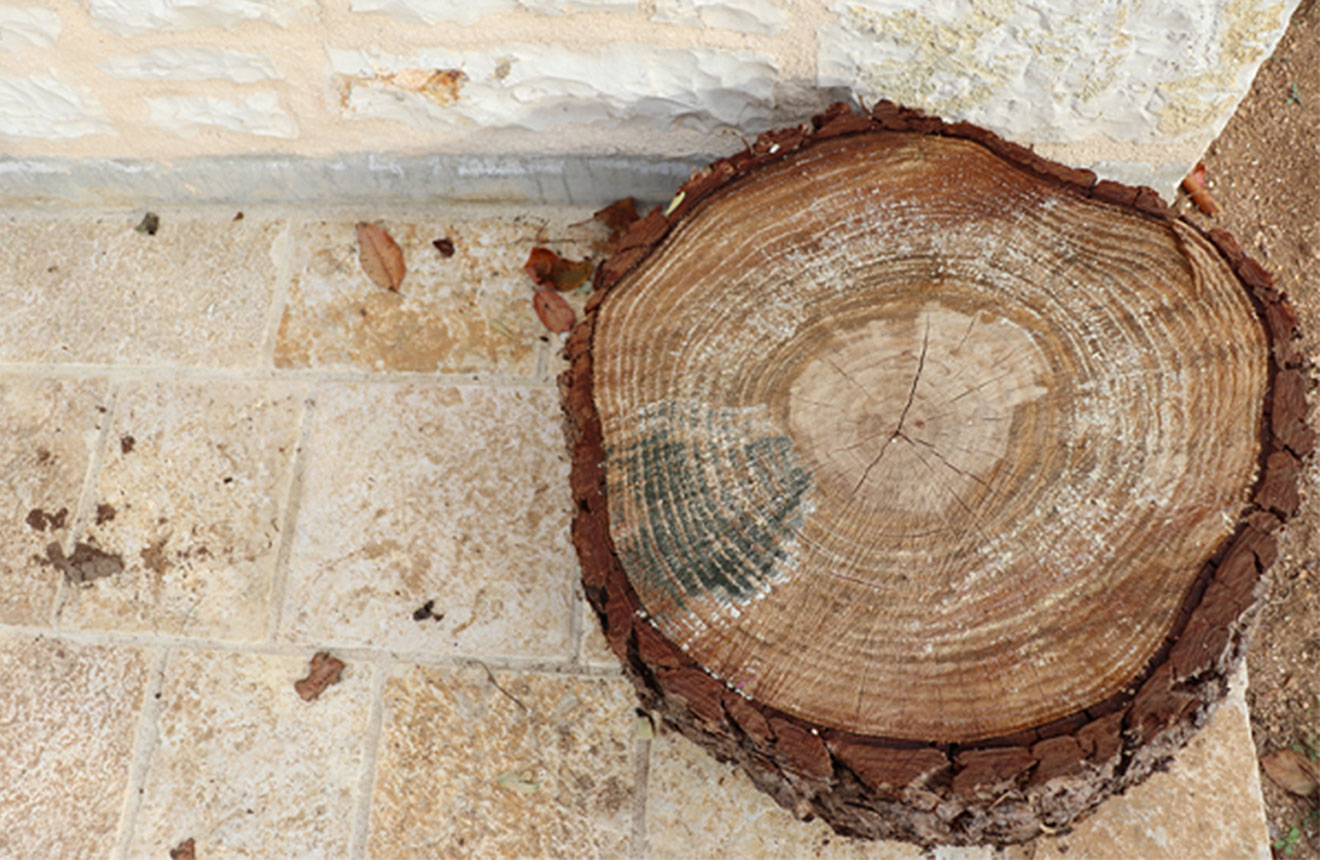 Εξοχική Κατοικία